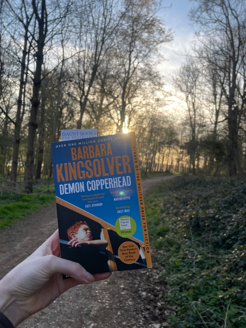 A Review of Demon&nbsp;Copperhead